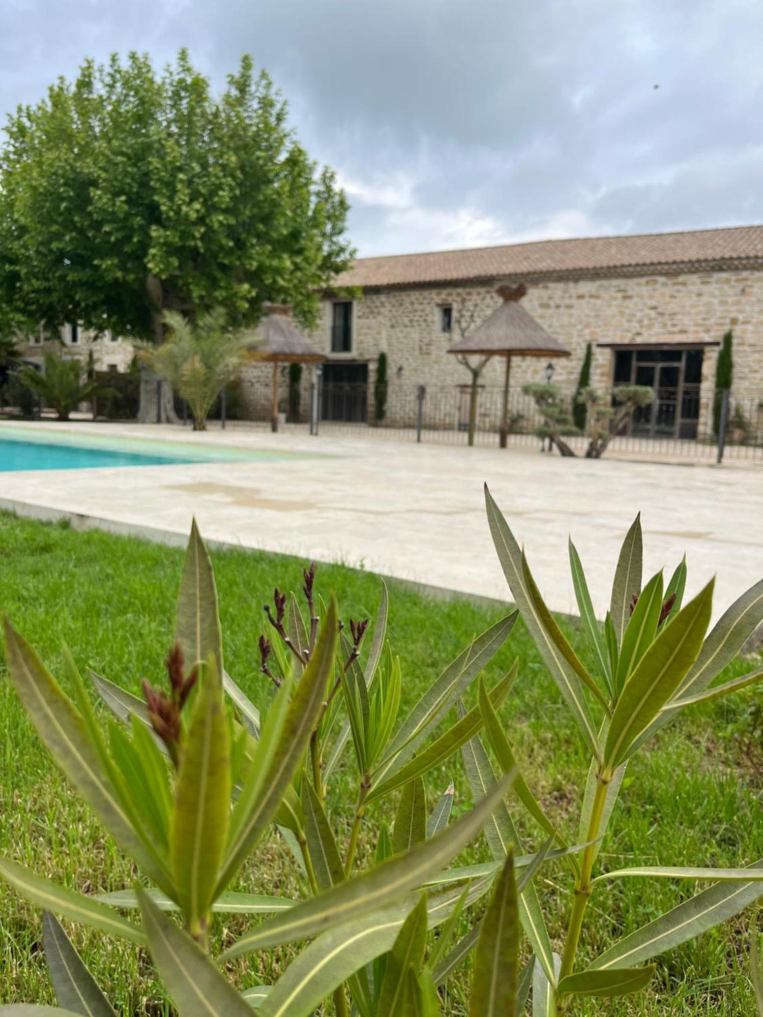 Le Mas Mila Monteux Exterior foto