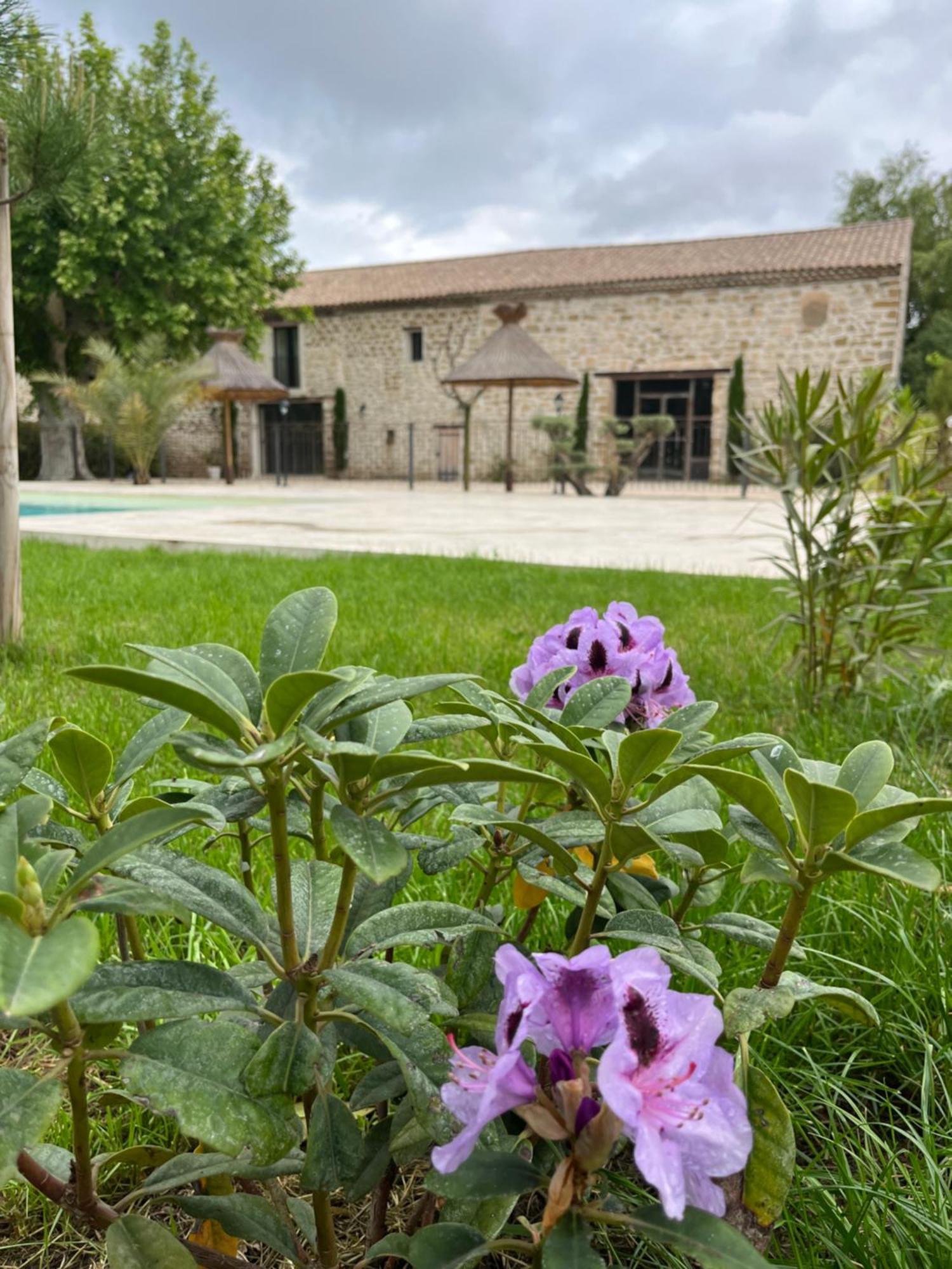 Le Mas Mila Monteux Exterior foto