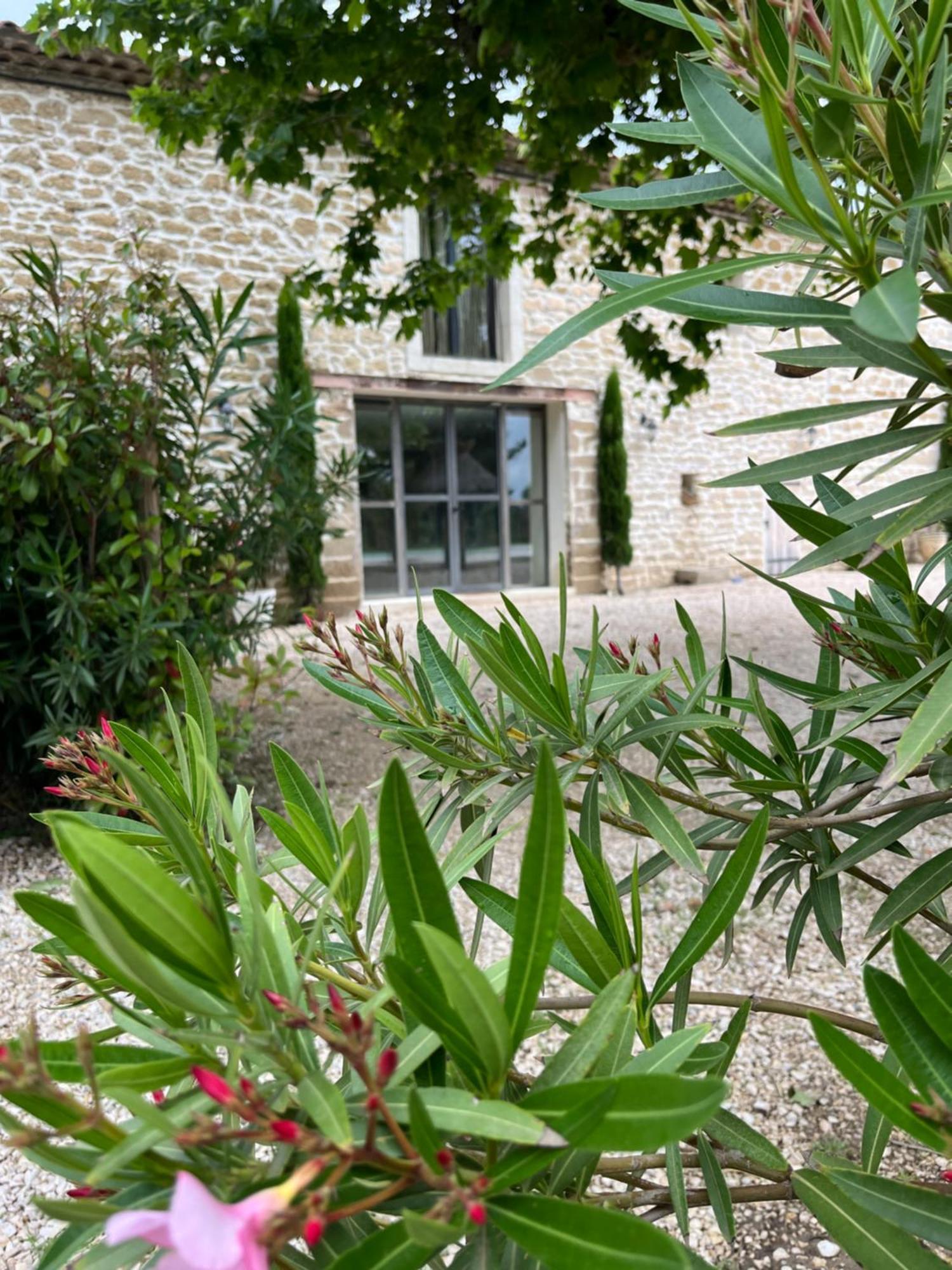 Le Mas Mila Monteux Exterior foto